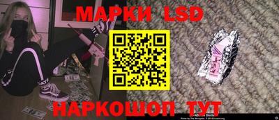 стафф Гусев