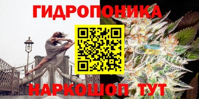 стафф Гусев