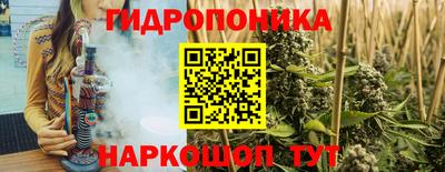 стафф Гусев