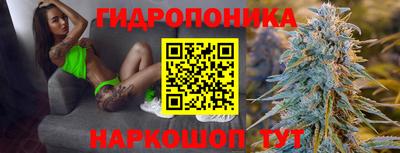 стафф Гусев